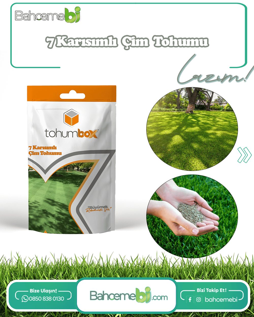 Çim Tohumu 7 Mix Grass Karışımı - 1 kg TohumBox