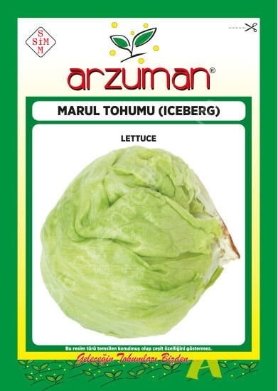 Iceberg Marul Tohumu 1000 Ad Arzuman