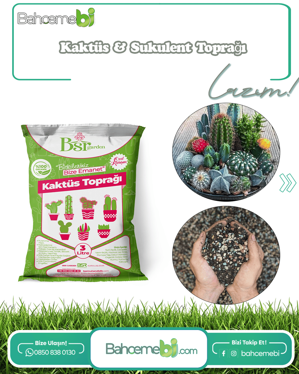 Kaktüs Özel Toprağı 3 Litre Bsr Garden
