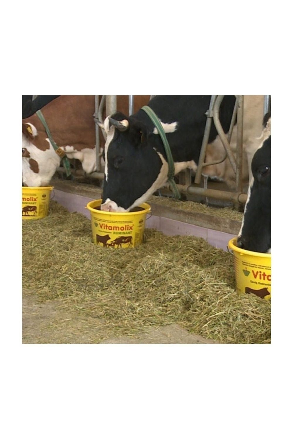 Vitamolix Ruminant 25 Kg