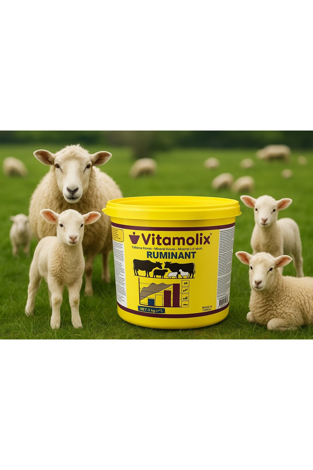 VİTAMOLİX YALAMA KUTUSU 3 KG