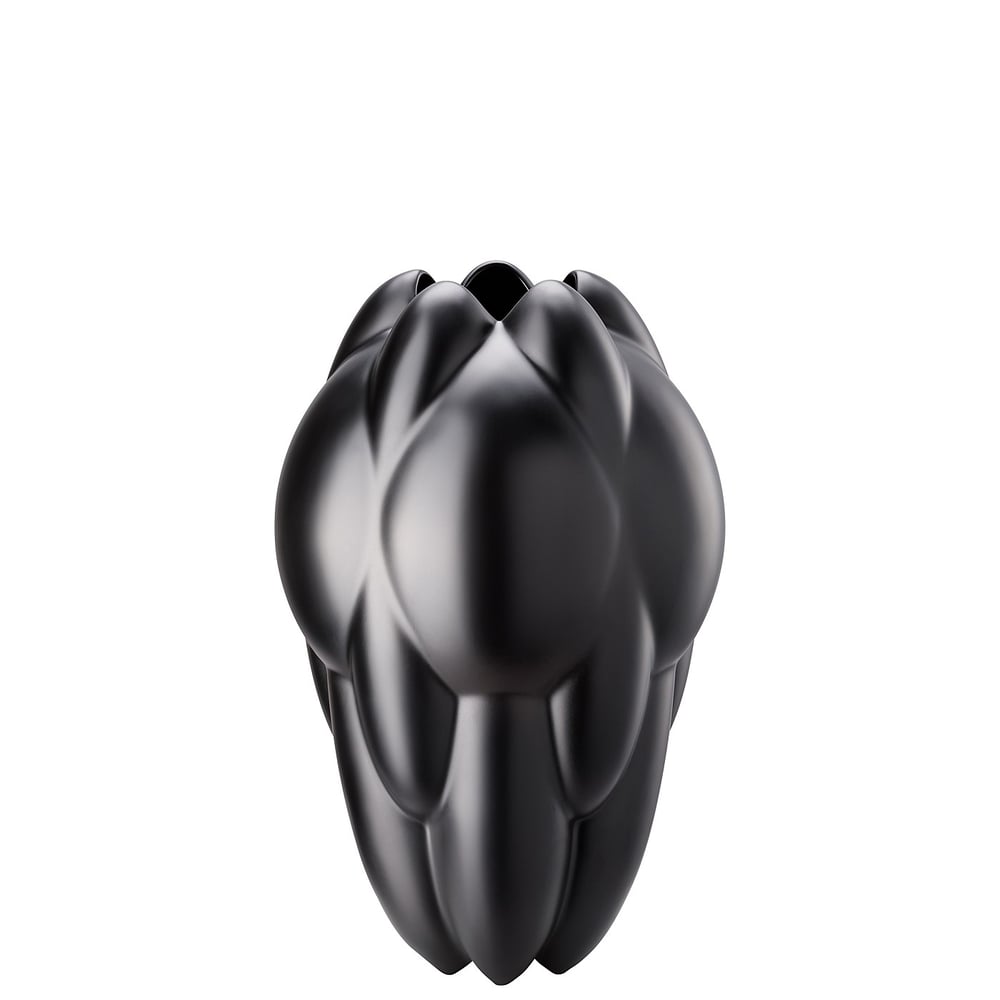 gifts-cedric-ragot-31-cm-vazo-a-690f.jpg