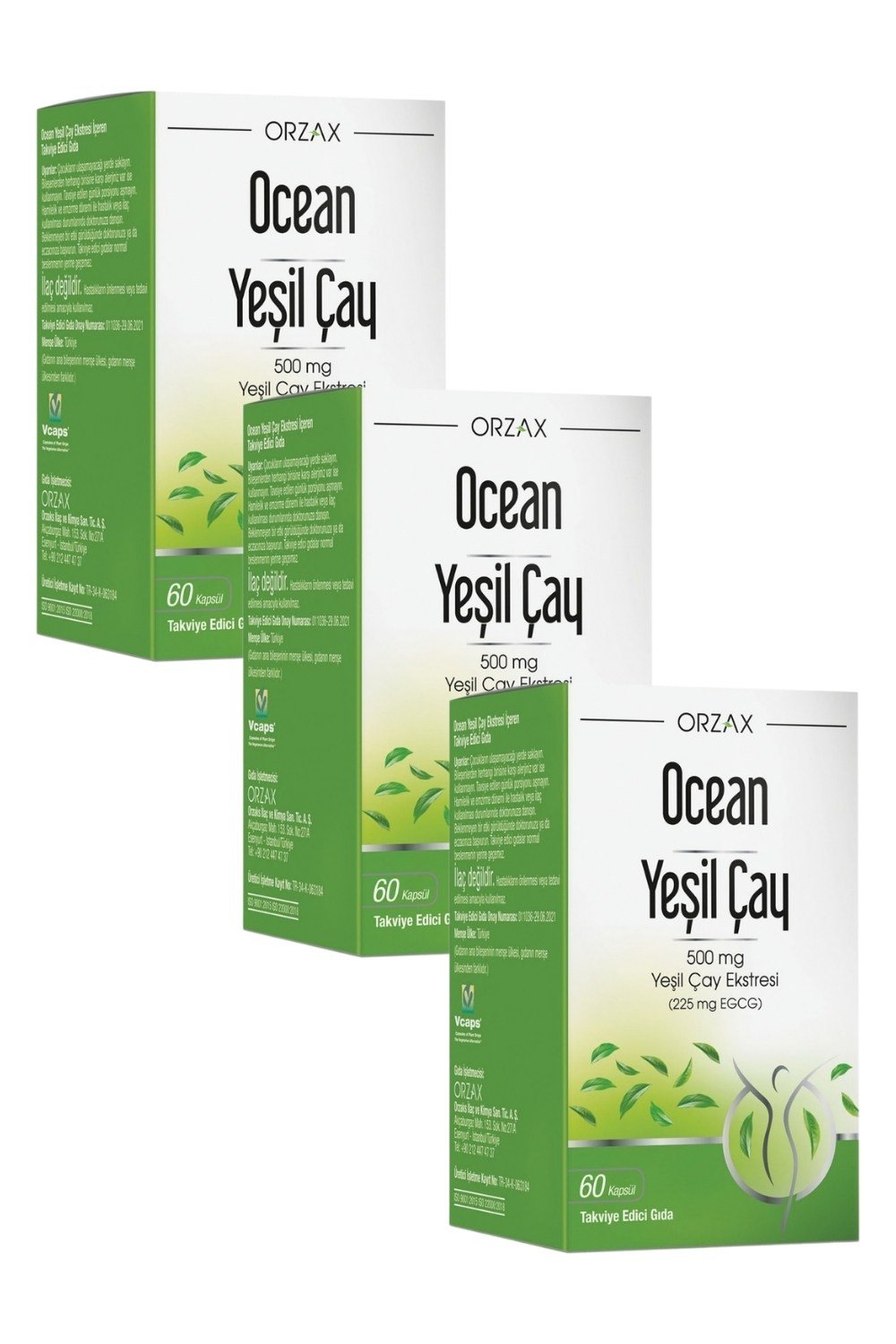 Ocean Yeşil Çay Ekstresi 60 Kapsül x 3 Adet