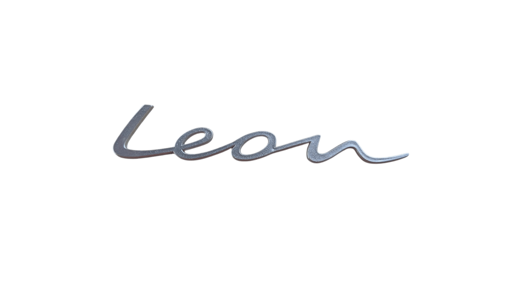 yeni-nesil-leon-bagaj-yazisi-gri-16-5cc.png