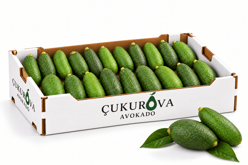 Bebek avokado