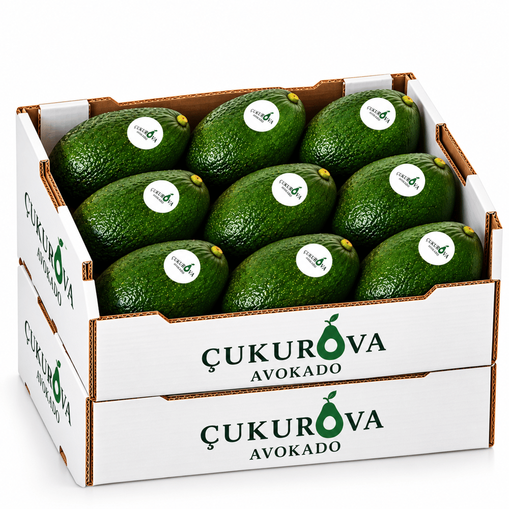 Fuerte Avokado Premium 18 ad.