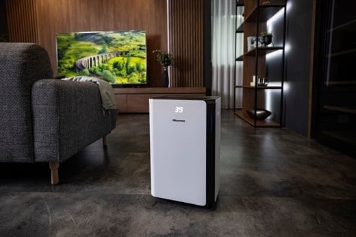 HISENSE D20CW 4.2 LT. NEM ALMA CİHAZI