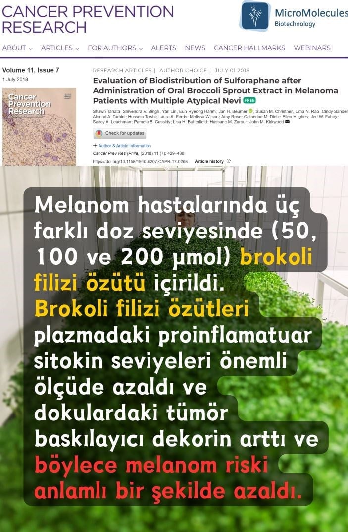 Brokoli Mikrofiliz Özütü