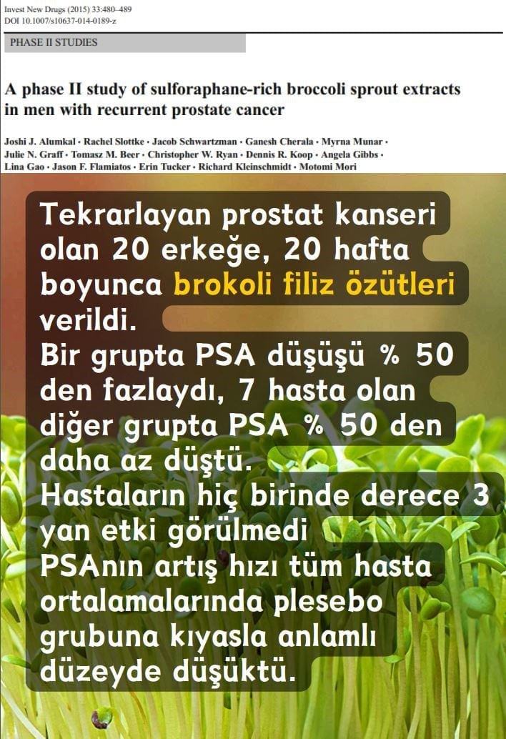 Brokoli Mikrofiliz Özütü