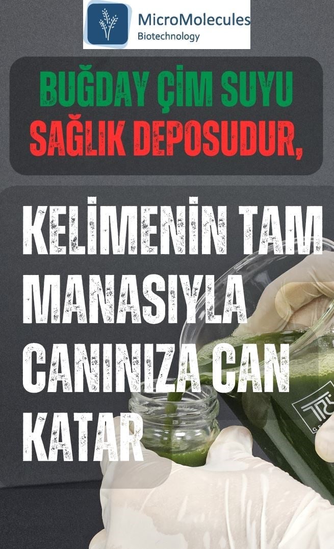 Buğday Çim Suyu