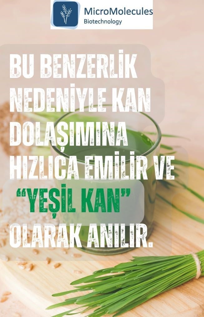 Buğday Çim Suyu
