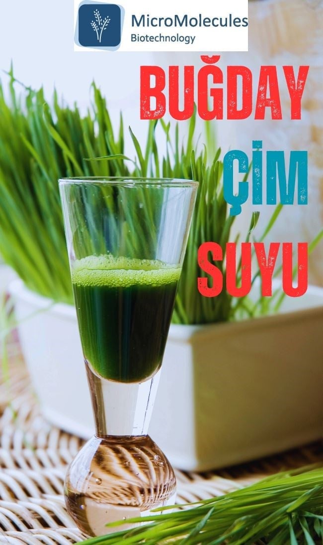 Buğday Çim Suyu