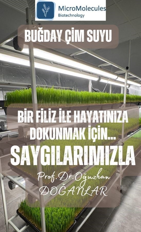 Buğday Çim Suyu