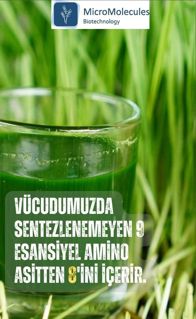 Buğday Çim Suyu