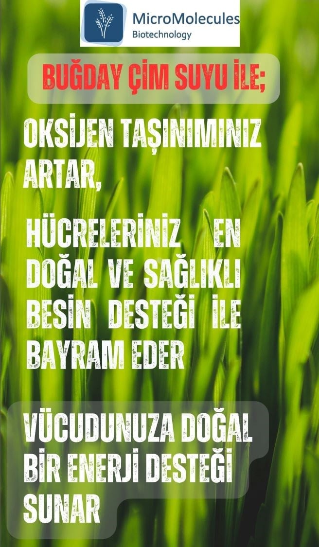 Buğday Çim Suyu
