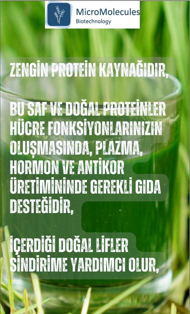 Buğday Çim Suyu