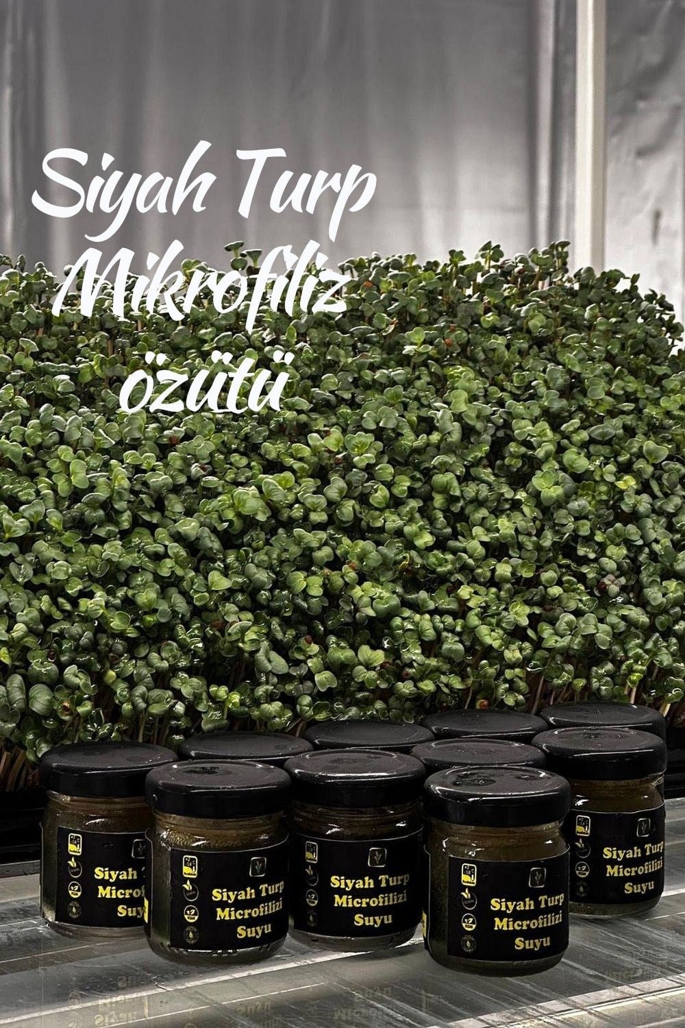 Cana Can paketi