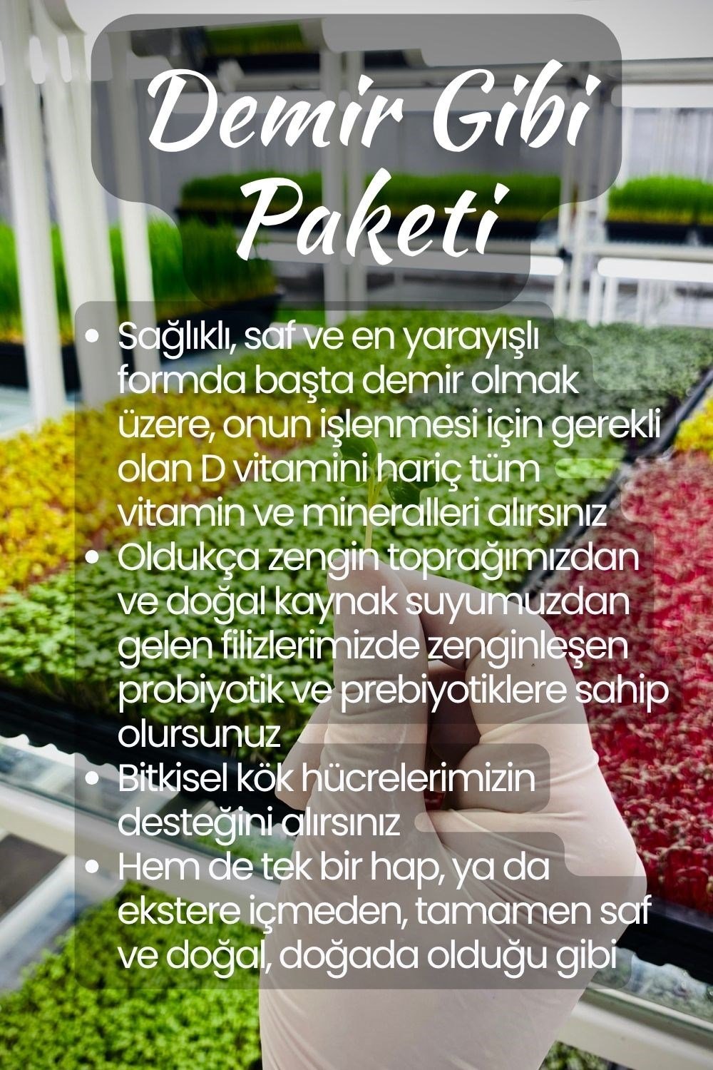 Demir Gibi Paketi