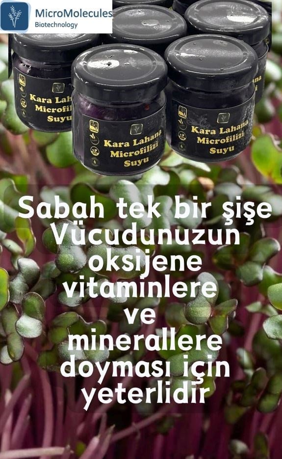 Karalahana Mikrofiliz Özütü