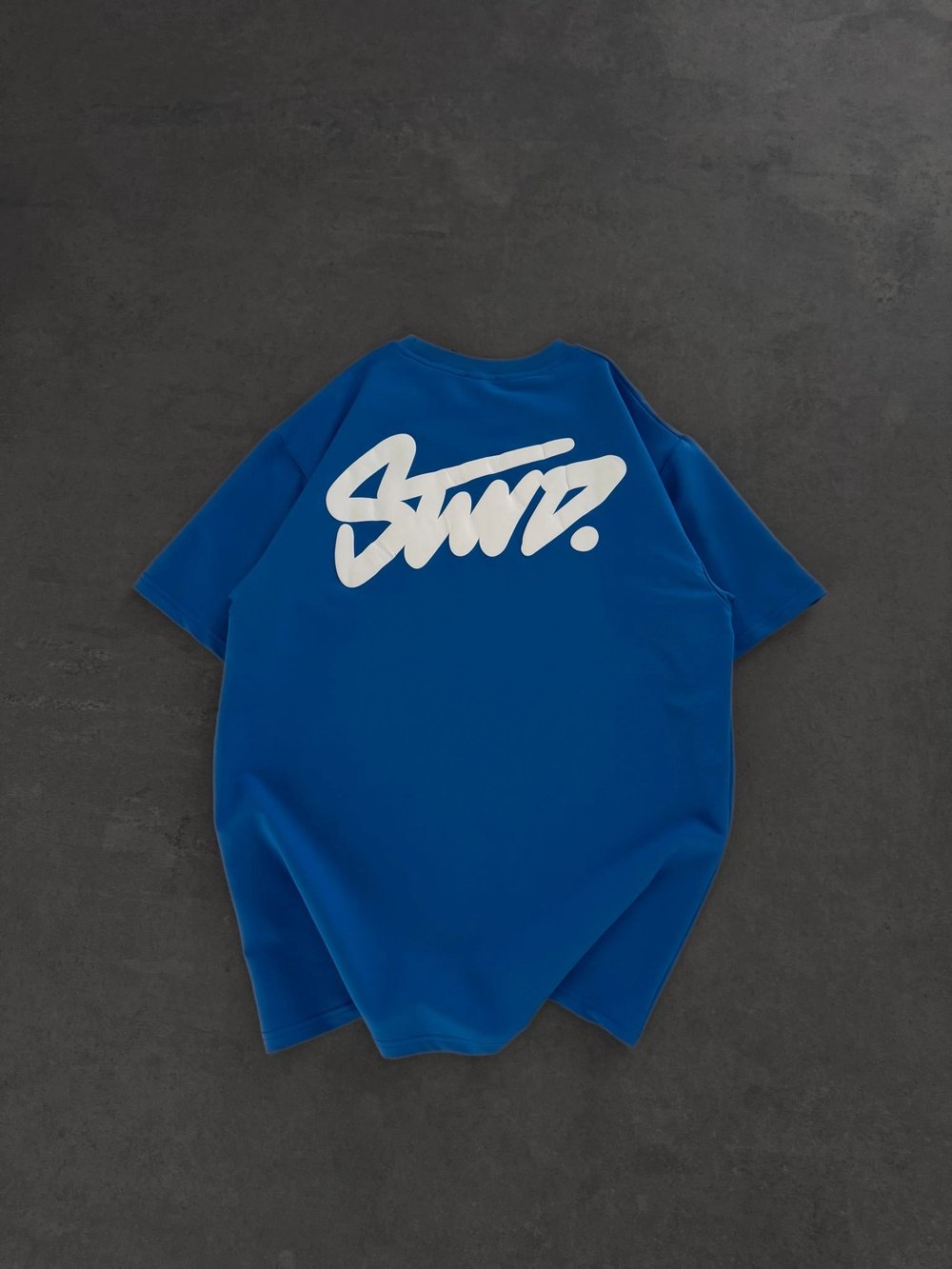 STW SIRT BASKI BİSİKLET YAKA OVERSİZE TSHİRT MAVİ