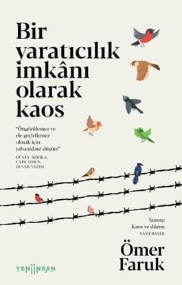Bir Yaratıcılık İmkânı Olarak Kaos