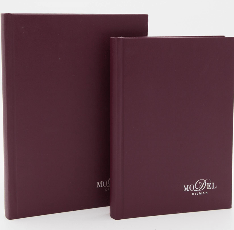 DİLMAN DEFTER MODELİST CİLTLİ SERT KAPAK 17x24 160 YP ÇİZGİLİ 6014