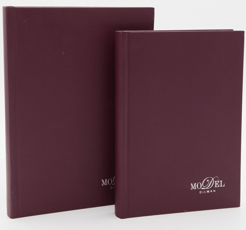 DİLMAN DEFTER MODELİST CİLTLİ SERT KAPAK 17x24 160 YP DÜZ 6013