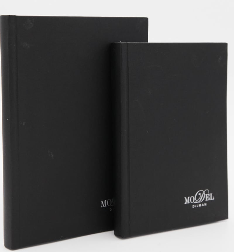DİLMAN DEFTER MODELİST CİLTLİ SERT KAPAK 17x24 160 YP ÇİZGİLİ 6014