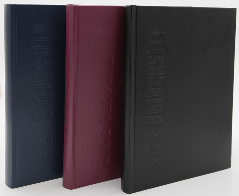 DİLMAN DEFTER ÜNİVERSİTE DİKİŞLİ SERT KAPAK 20x28 300 YP ÇİZGİLİ 6816