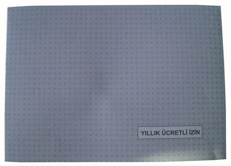 DİLMAN ÜCRETLİ İZİN DEFTERİ KARTON KAPAK 20x28 20 YP YATAY 2401