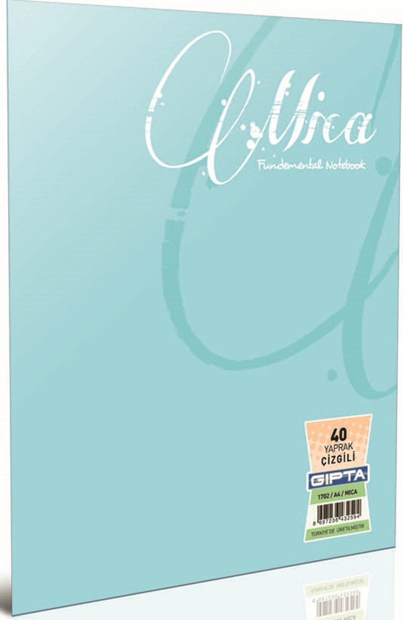GIPTA DEFTER MICA A5 TEL DİKİŞLİ PP KAPAK 100 YP. KARELİ 2935