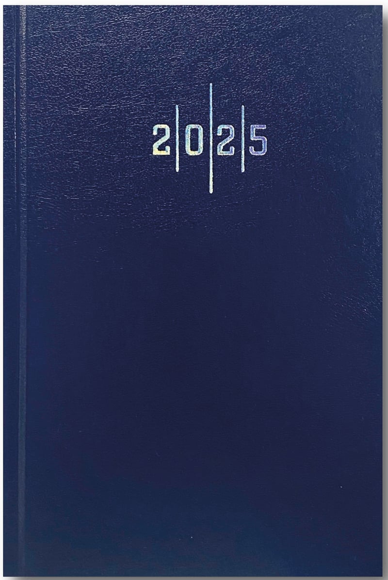 LİZ AJANDA 2026 17X24 EKONOMİK CİLT BEZİ ÇİZGİLİ AJ907