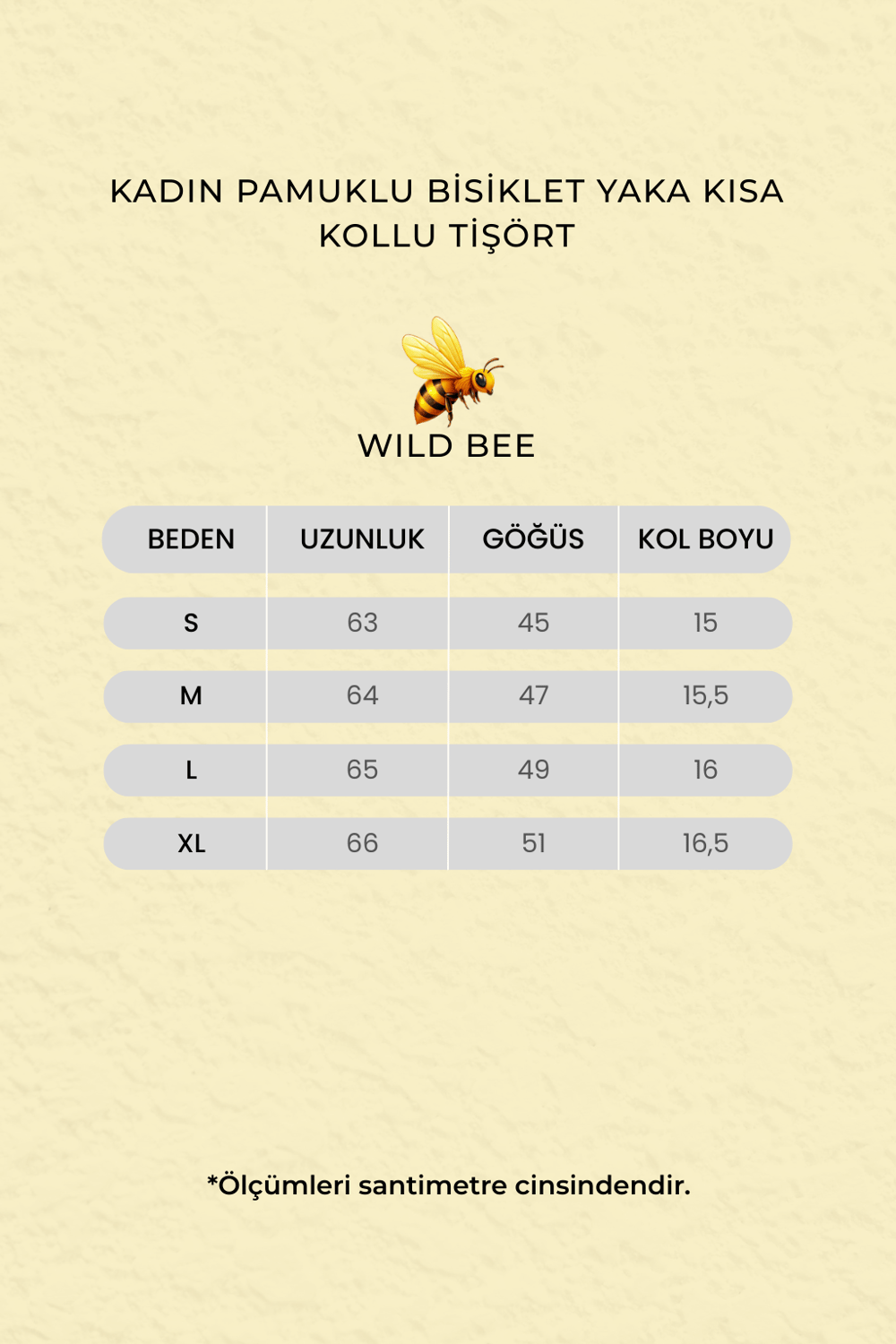 Kadın Antrasit Pamuklu Bisiklet Yaka Kısa Kollu Tişört