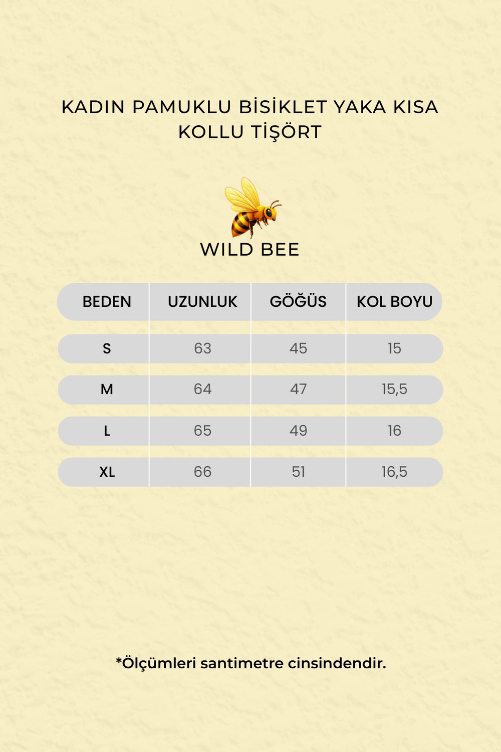 Kadın Antrasit Pamuklu Bisiklet Yaka Kısa Kollu Tişört