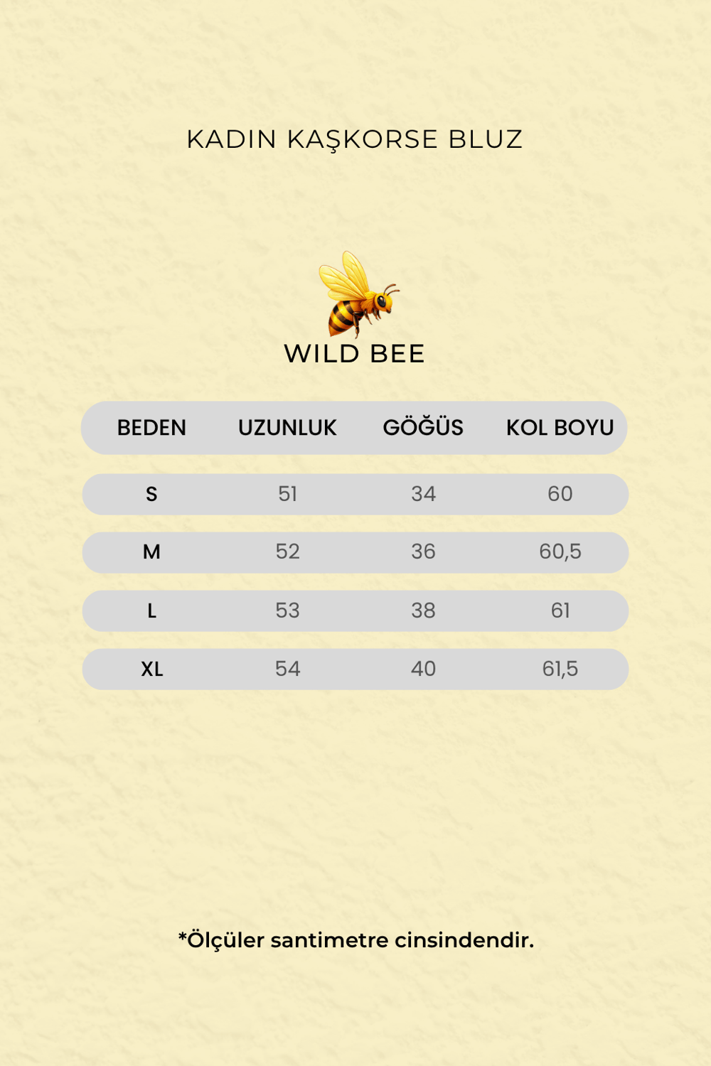 Kadın Siyah Çizgili Pamuklu Kaşkorse V Yaka Bluz