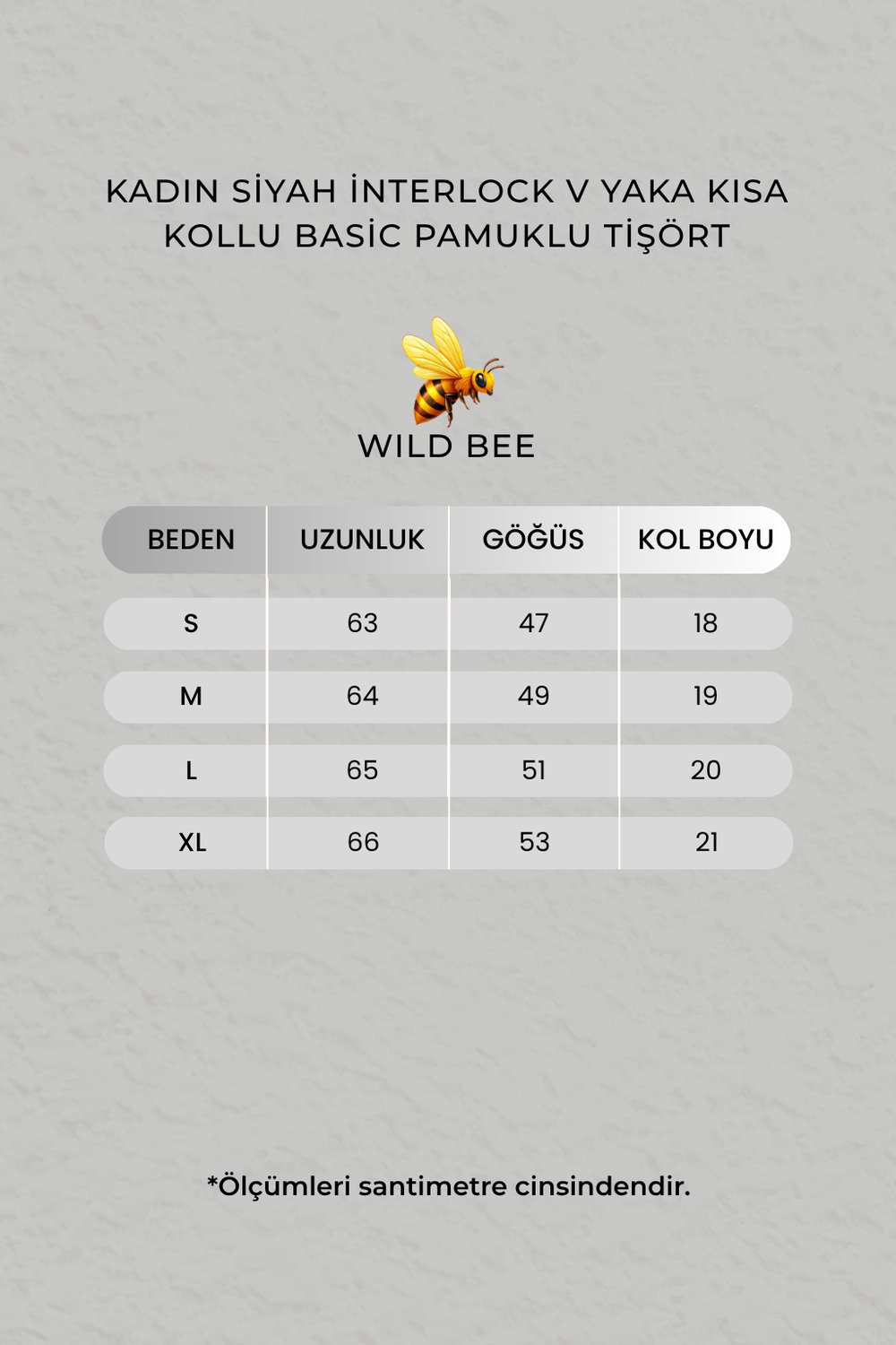 Kadın Siyah İnterlock V Yaka Kısa Kollu Basic Pamuklu Tişört
