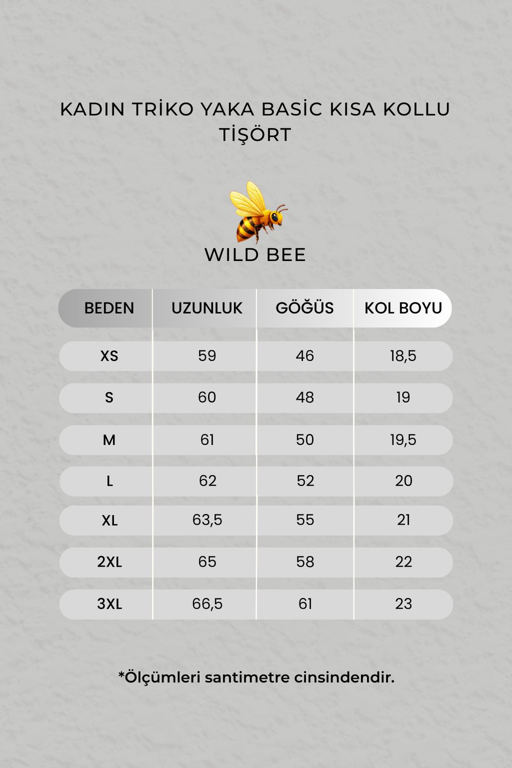 Kadın Siyah Triko Yaka Basic Kısa Kollu Tişört