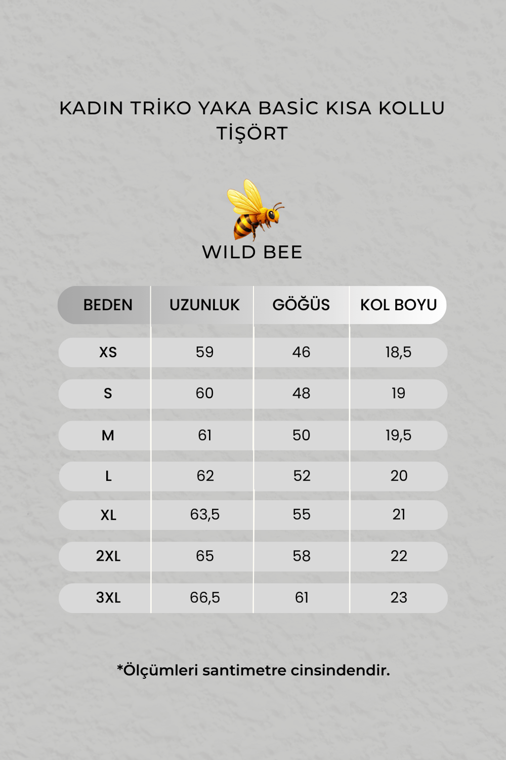 Kadın Siyah Triko Yaka Basic Kısa Kollu Tişört