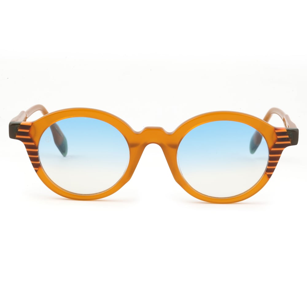 EDL Eyewear 8613 C003