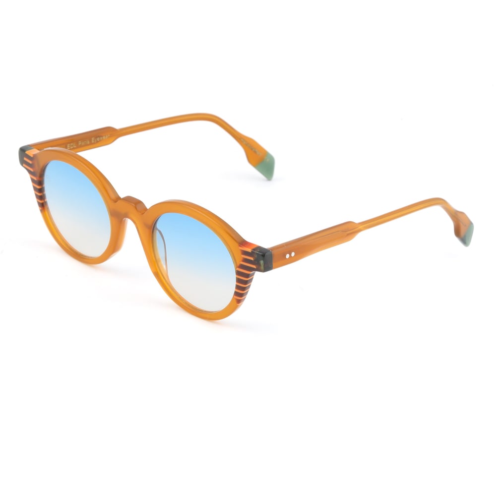 EDL Eyewear 8613 C003