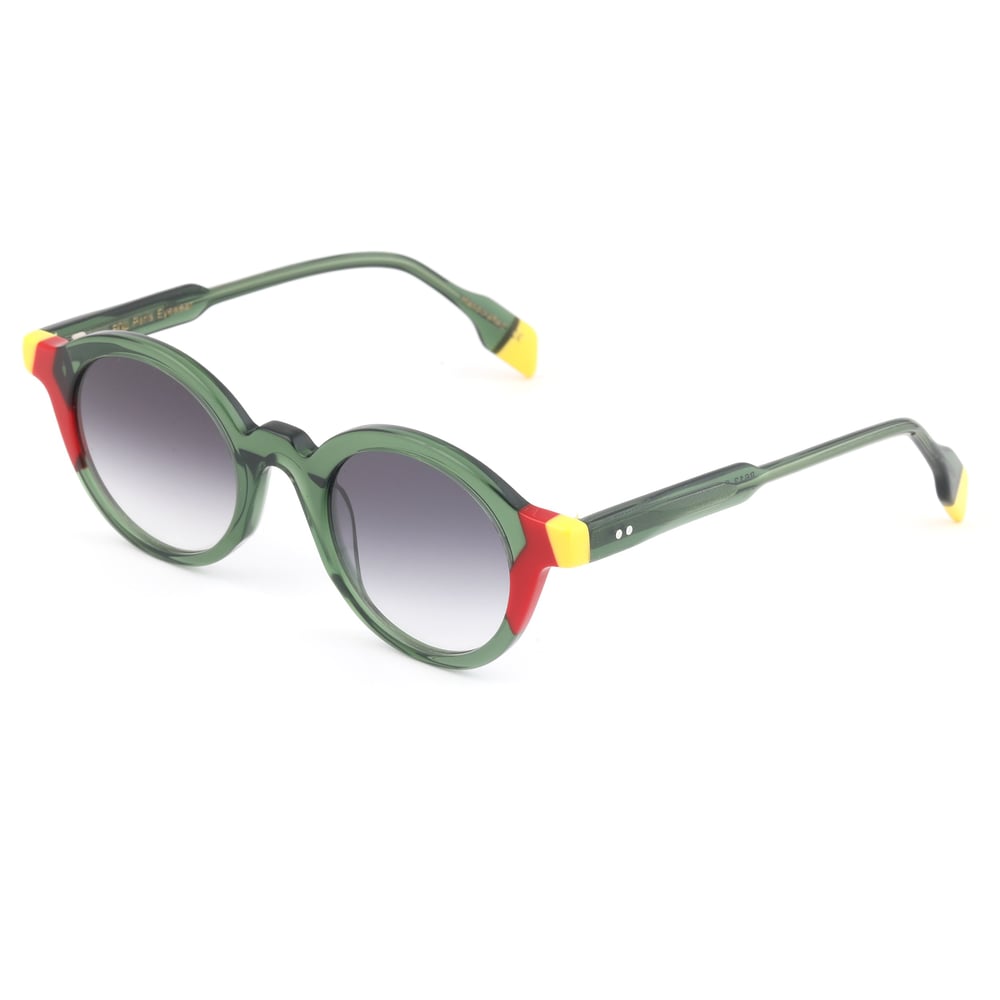 EDL Eyewear 8613 C004