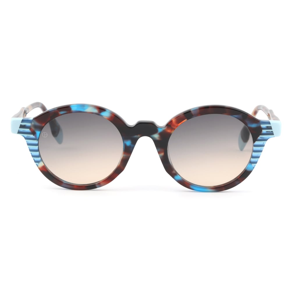 EDL Eyewear 8613 C005