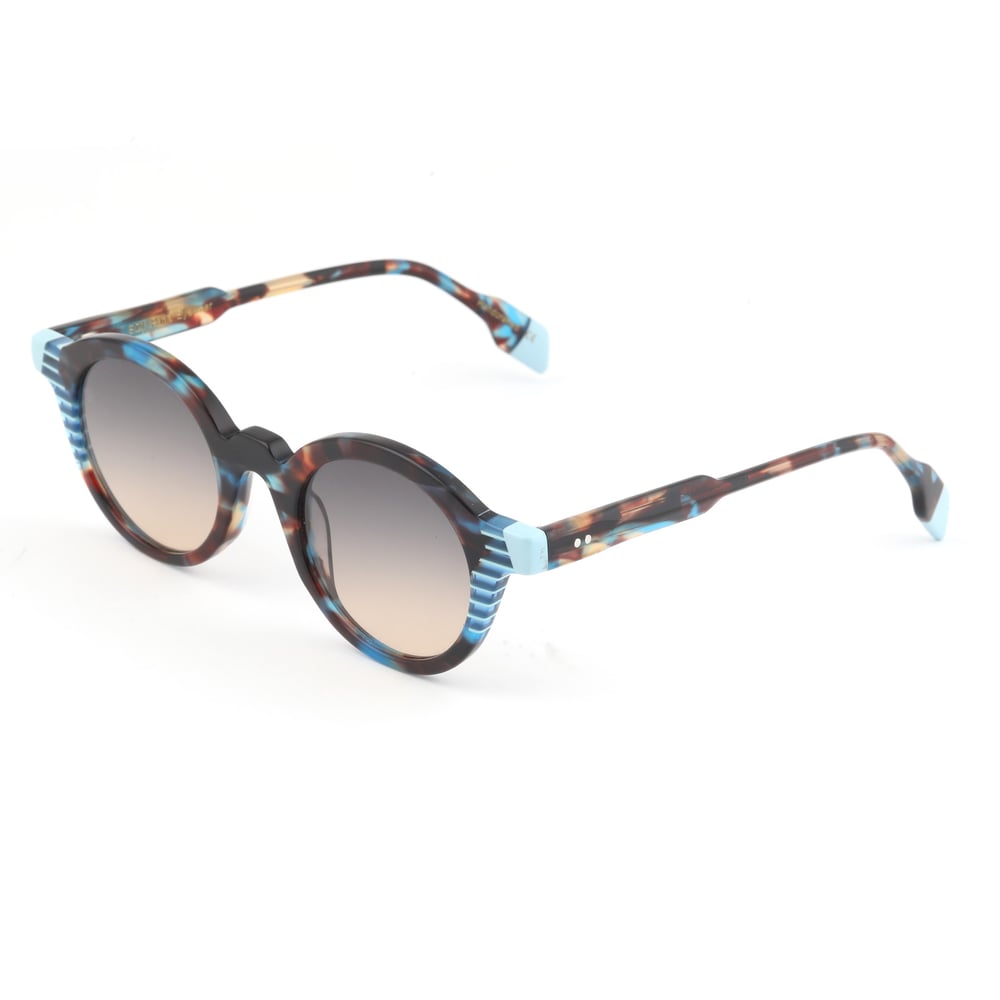 EDL Eyewear 8613 C005