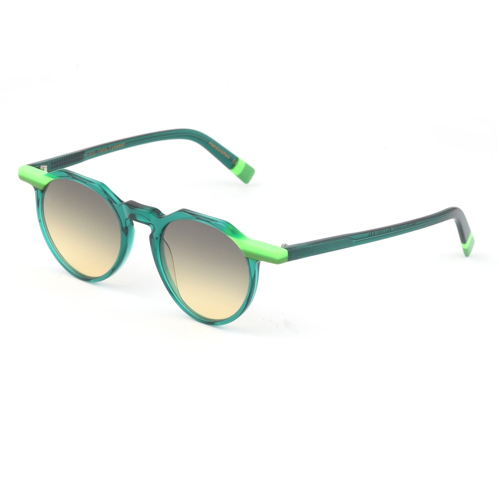 EDL Eyewear 8629 C002