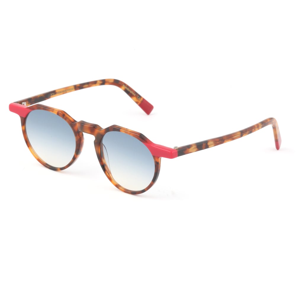 EDL Eyewear 8629 C005