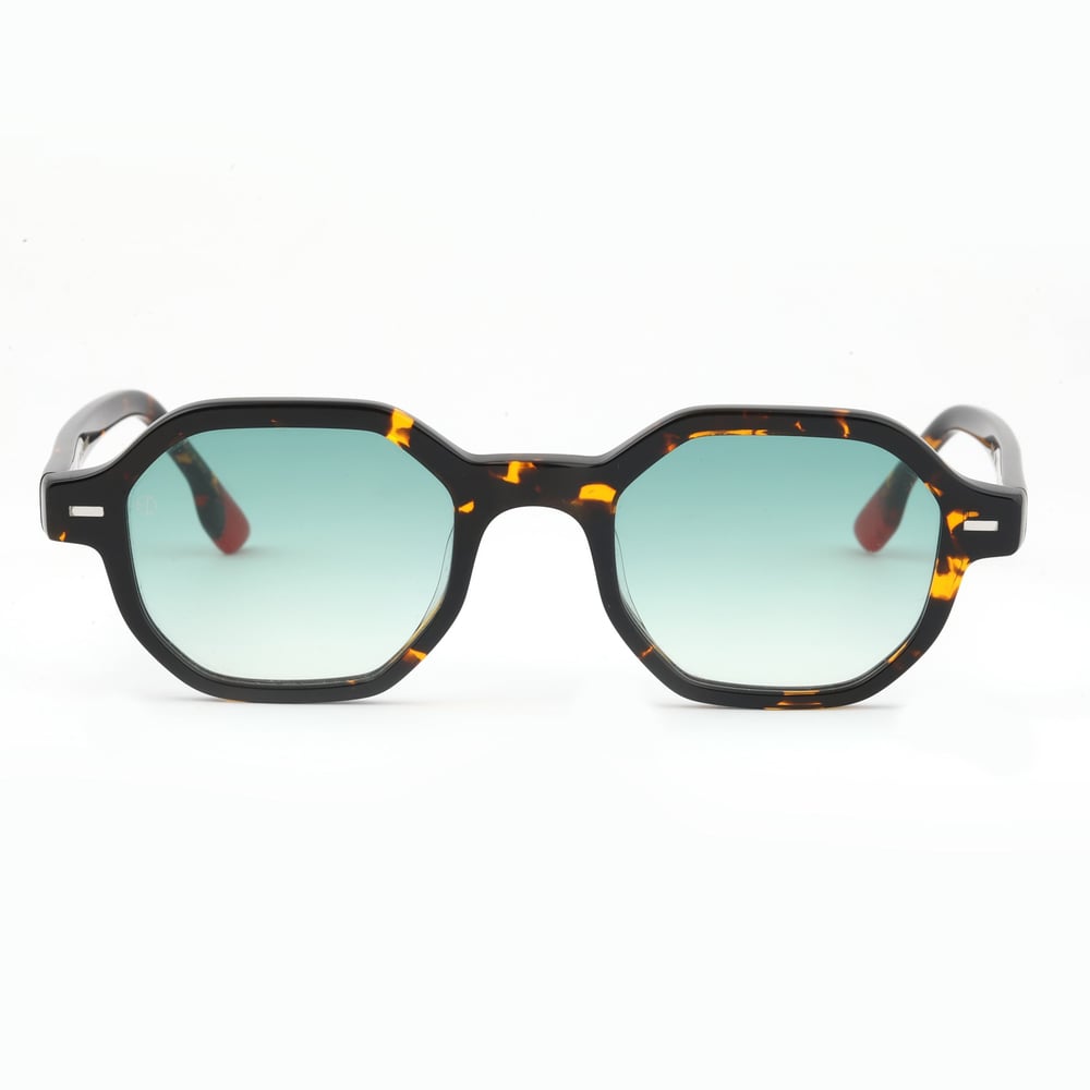 EDL Eyewear 8646 C002