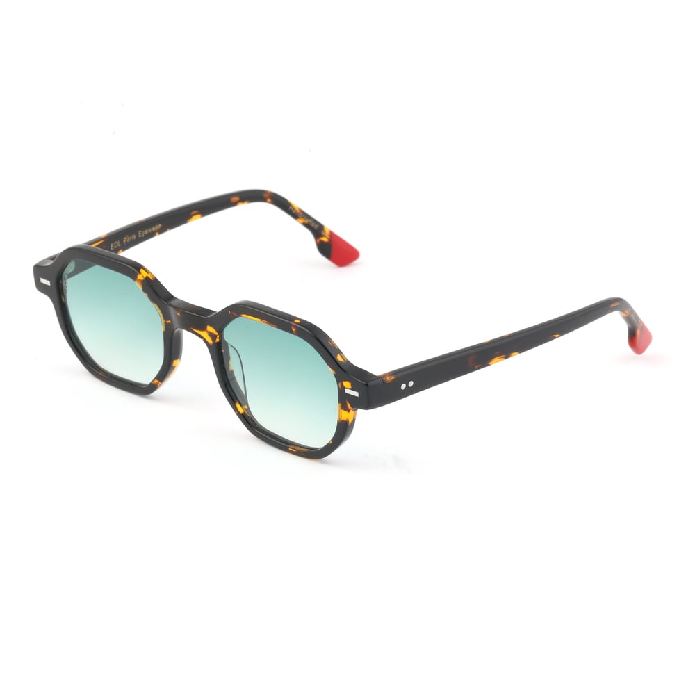EDL Eyewear 8646 C002