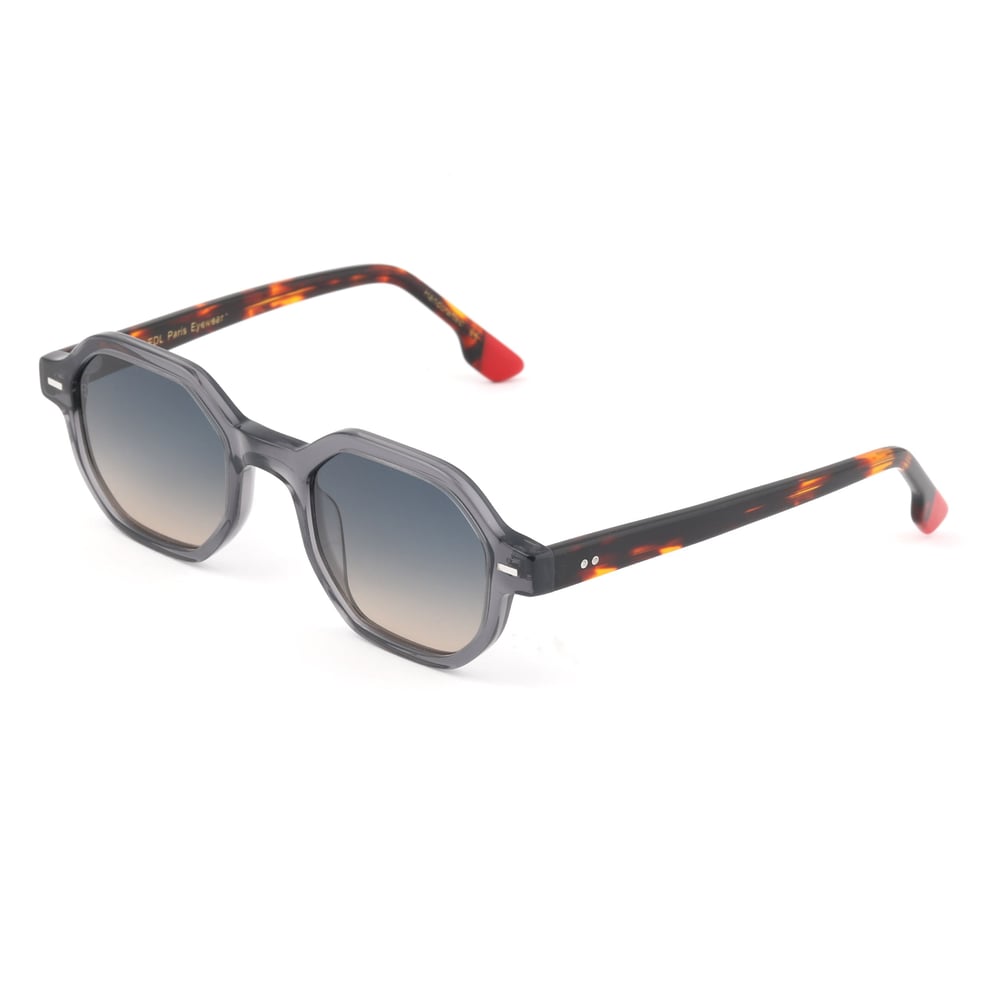 EDL Eyewear 8646 C003