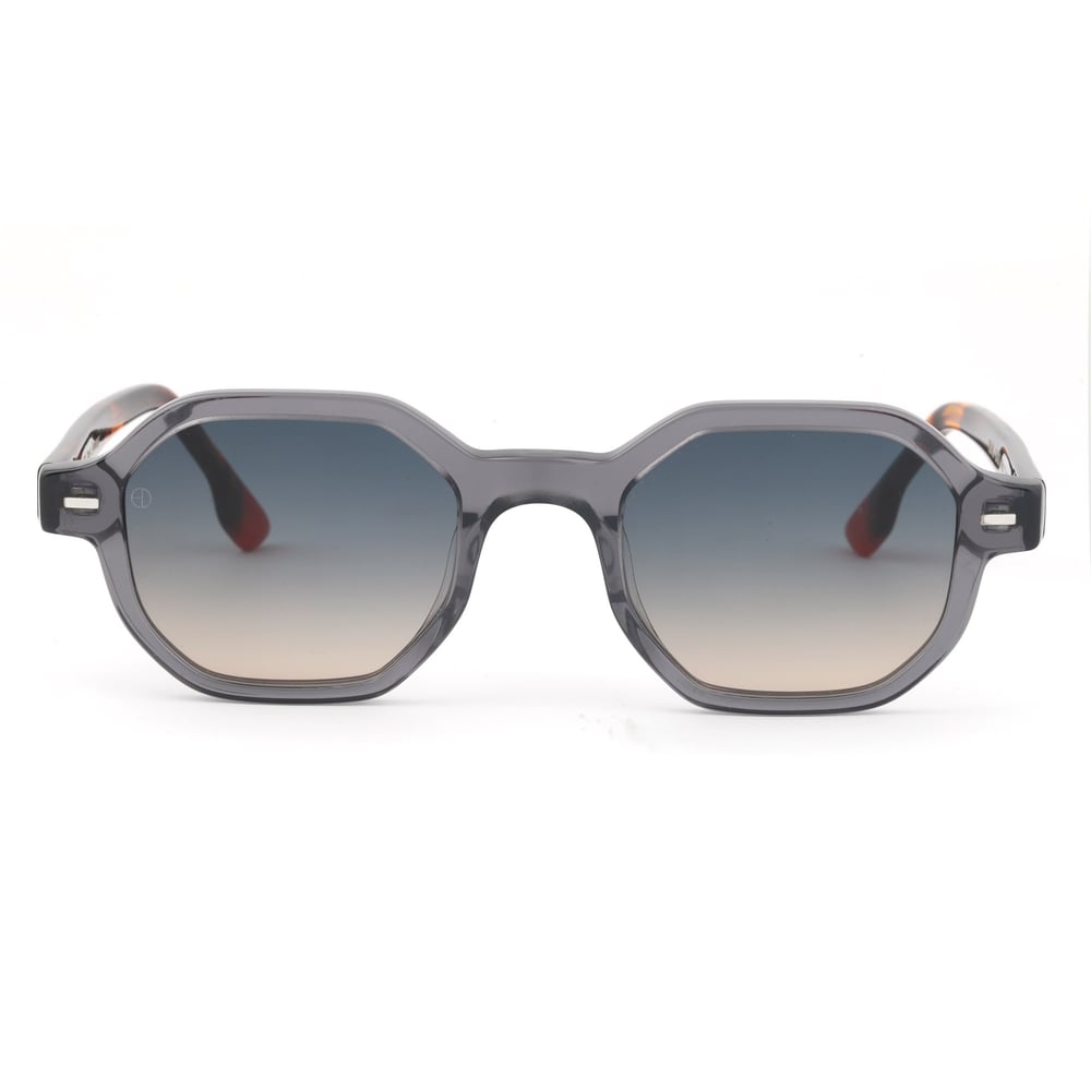 EDL Eyewear 8646 C003