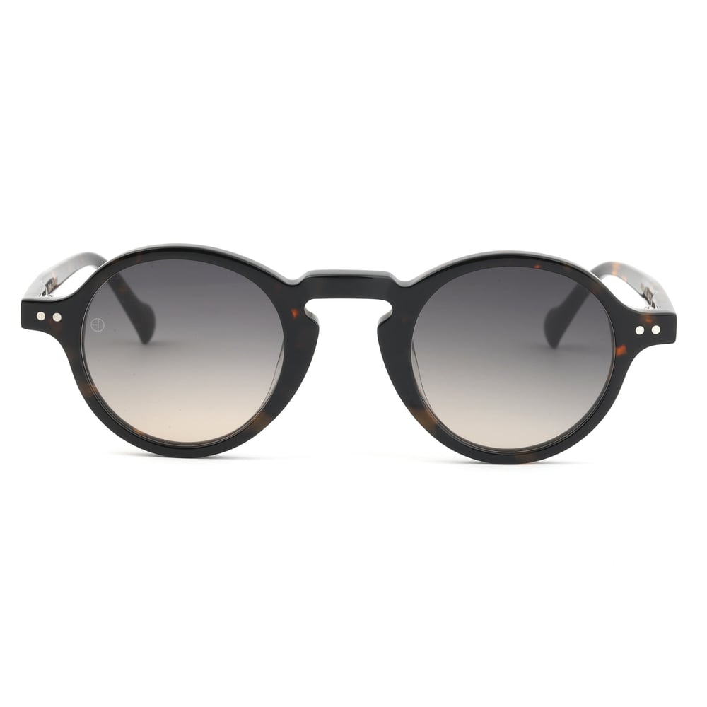 EDL Eyewear 8662 C002
